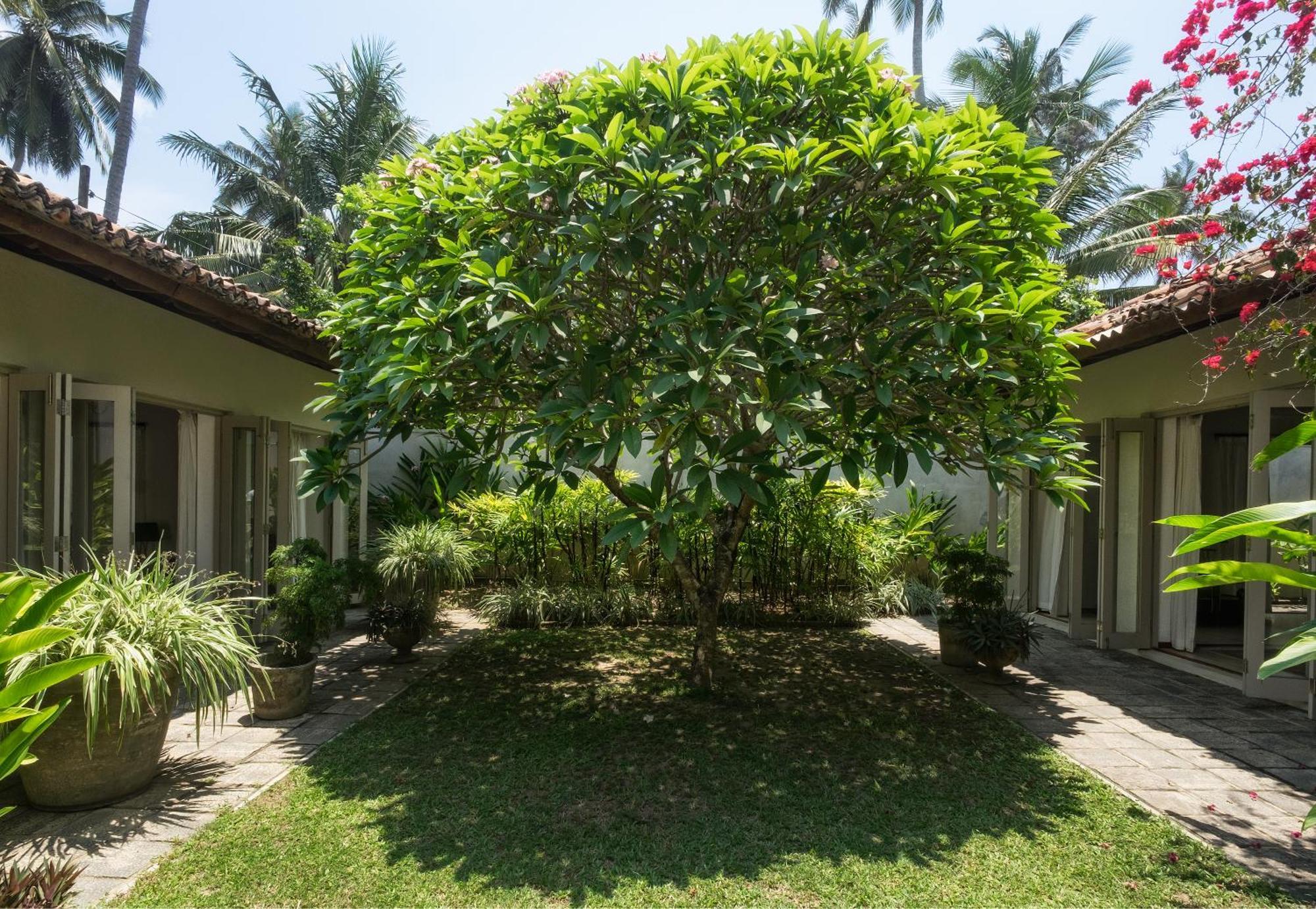 Elysium Hotel Unawatuna Eksteriør billede